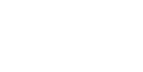 MSL group logo blanco